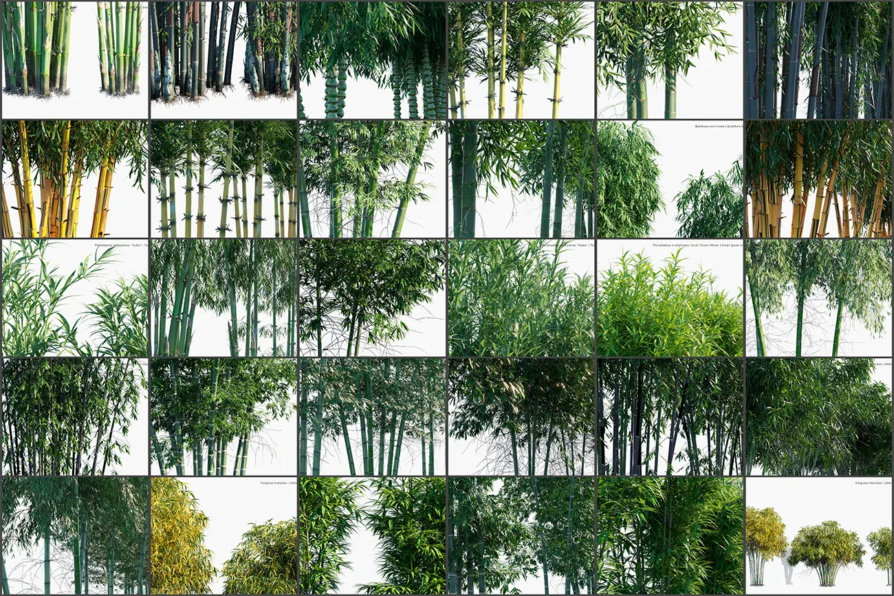 photo-collage.webp photo-collage.webp